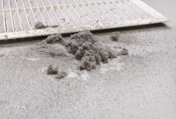 Best Affordable HVAC Duct Cleaning  in Port Charlotte, FL