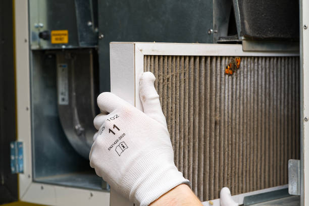 Best Emergency Air Duct Cleaning  in Port Charlotte, FL