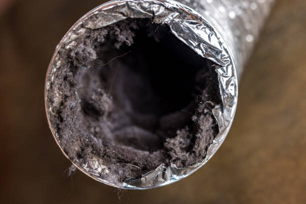 Best Air Vent Cleaning Services  in Port Charlotte, FL