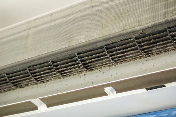 Best Air Duct Cleaning Near Me  in Port Charlotte, FL